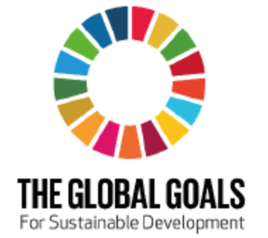 Global-Goal-SDG