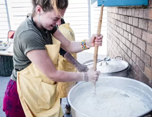 Volunteering at NOSH – Julia’s story